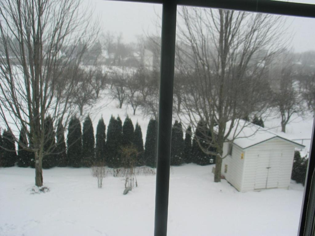 Arnica Bed & Breakfast Bed and Breakfast Niagara-on-the-Lake Exterior foto